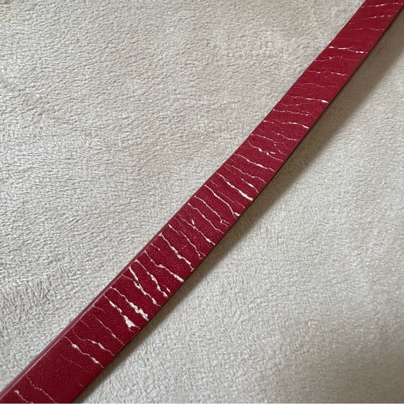 Zara Crossbody and Fannypack - Picture 13 of 16